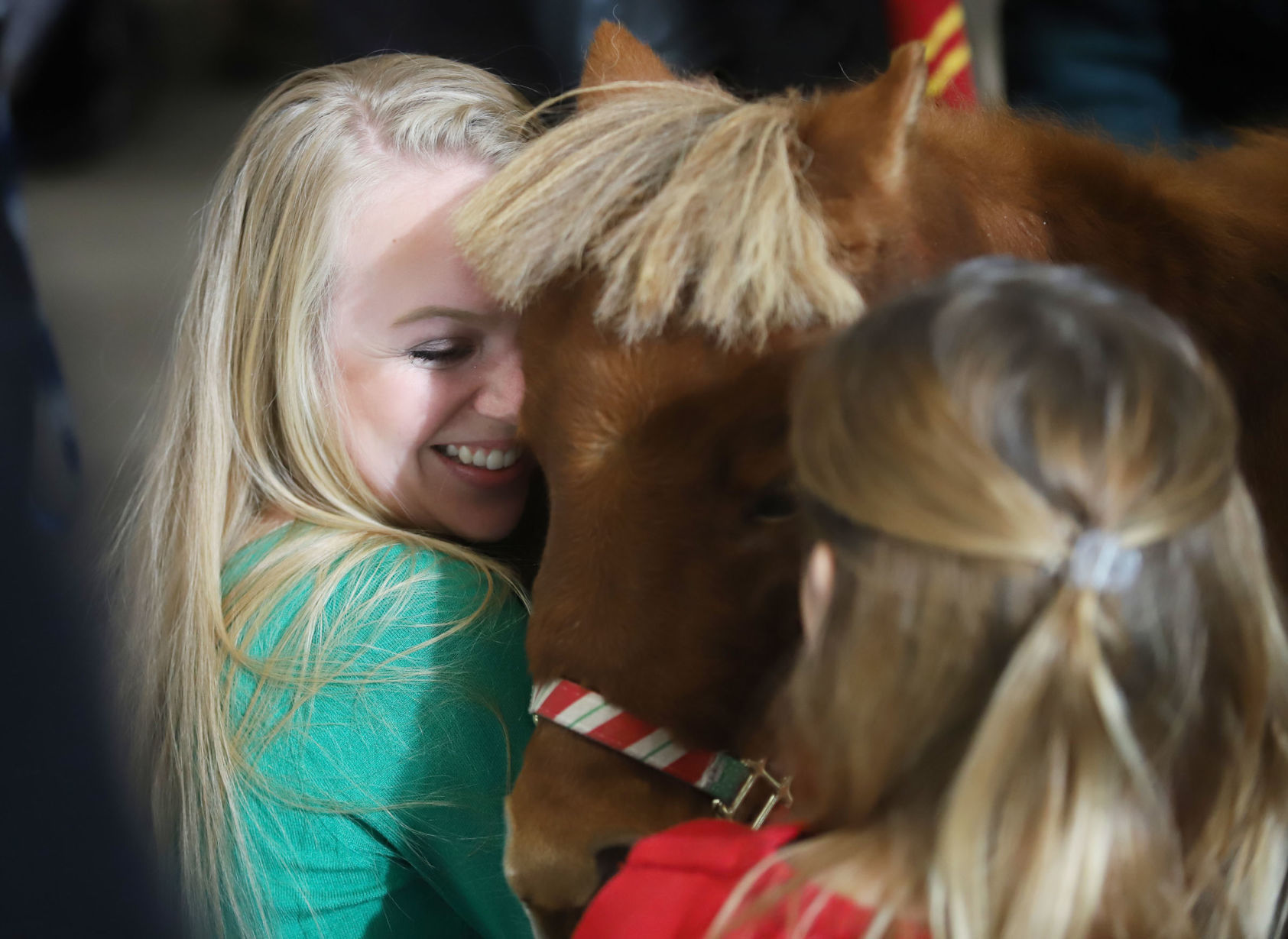 mini therapy horses 31 12.12.18.jpg